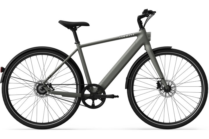 TENWAYS CGO600 PRO Elektrische Herenfiets L (1.80m - 1.95m) 1