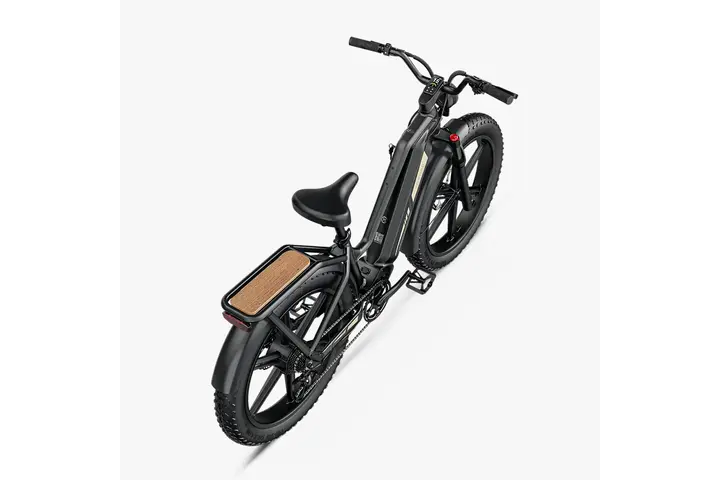 Fiido Titan Elektrische Mountainbike 26 inch 9v 3