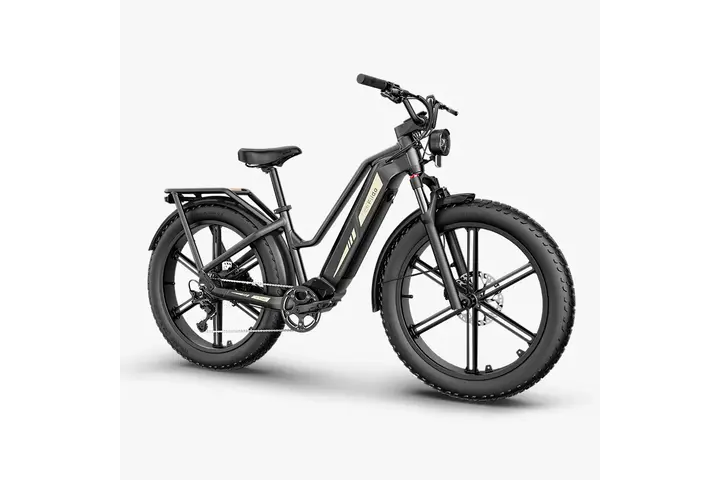 Fiido Titan Elektrische Mountainbike 26 inch 9v 2