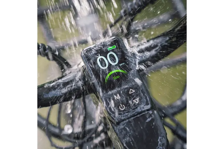 Fiido Titan Elektrische Mountainbike 26 inch 9v 4