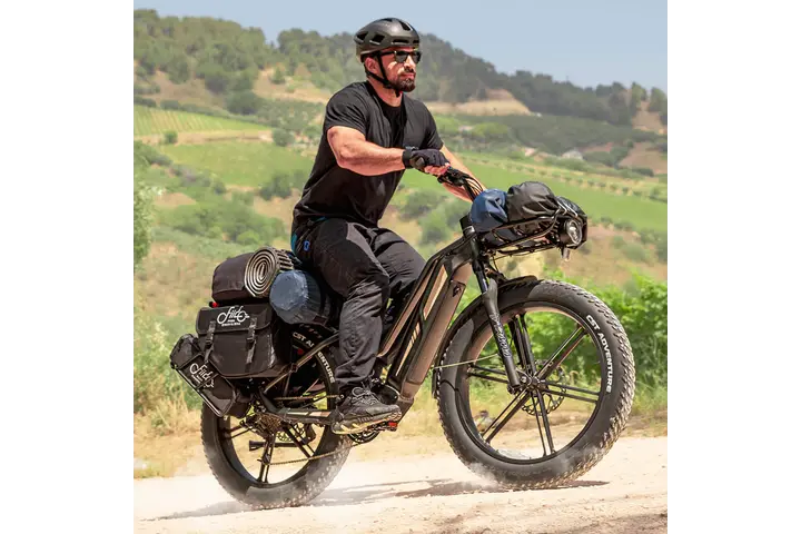 Fiido Titan Elektrische Mountainbike 26 inch 9v 6