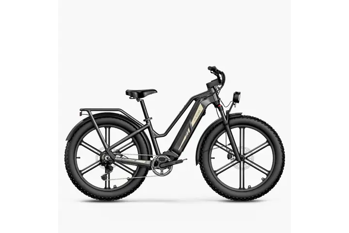 Fiido Titan Elektrische Mountainbike 26 inch 9v 7