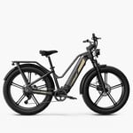 Fiido Titan Elektrische Mountainbike 26 inch 9v