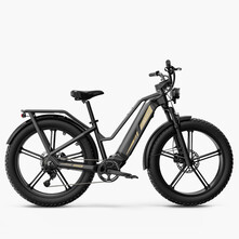 Fiido Fiido Titan Elektrische Mountainbike 26 inch 9v