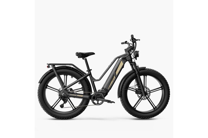 Fiido Titan Elektrische Mountainbike 26 inch 9v 1