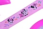 Disney Minnie loopfiets metaal 4 klein