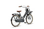 Altec Urban Kinderfiets Transport 24 inch 7 klein