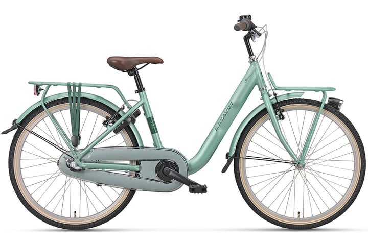 Batavus Star Transportfiets 24 inch 3v 1