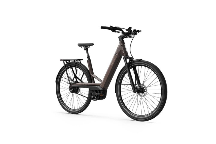 TENWAYS AGO Performance Elektrische Damesfiets 3