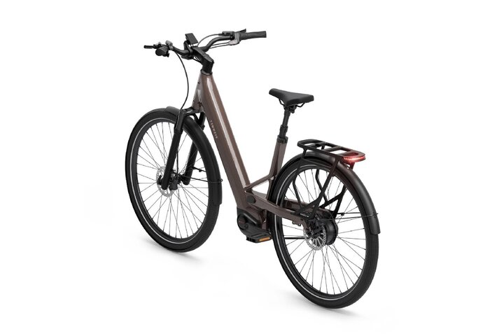 TENWAYS AGO Performance Elektrische Damesfiets 6