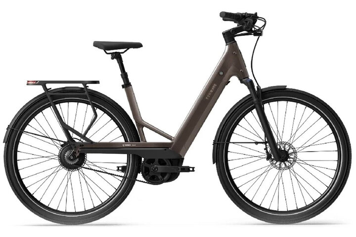 TENWAYS AGO Performance Elektrische Damesfiets 1