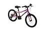 Literide Kinderfiets Meisjes 20 inch V-brakes 2 klein