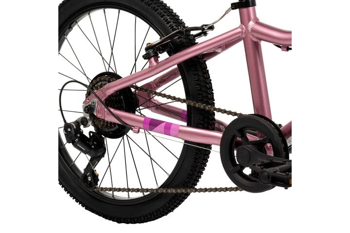 Literide Kinderfiets Meisjes 20 inch V-brakes 4