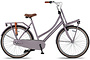 Altec Dutch Transportfiets Dames 28 inch 50cm 3v 5 klein