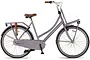 Altec Dutch Transportfiets Dames 28 inch 57cm 3v 5 klein