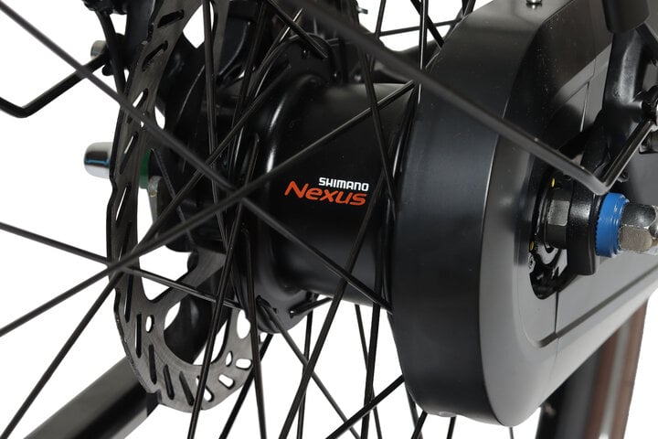 Altec Ciro Elektrische Damesfiets 28 inch 50cm 7v 16