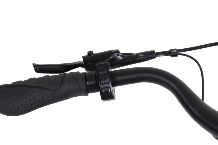 Altec Vybe Elektrische Damesfiets 28 inch 50cm 8