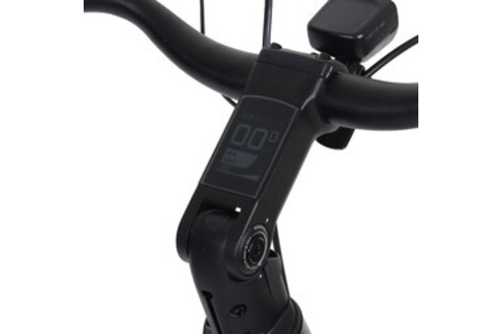 Altec Vybe Elektrische Damesfiets 28 inch 55cm 5