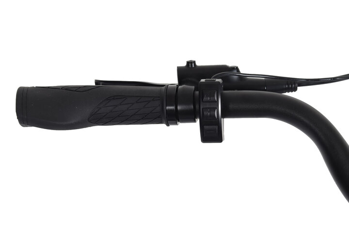 Altec Voltix Elektrische Damesfiets 28 inch 55cm 7v 5