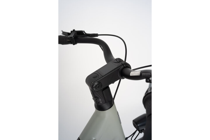 Crown Montreal Elektrische Damesfiets 28 inch 55cm 7v 10