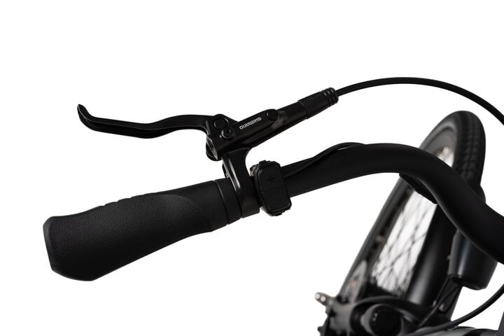 Crown Montreal Elektrische Damesfiets 28 inch 55cm 7v 16