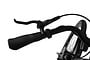 Crown Montreal Elektrische Damesfiets 28 inch 55cm 7v 16 klein
