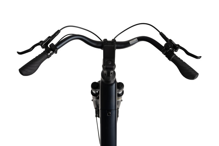Crown Luxor Elektrische Damesfiets 28 inch 53cm - afbeelding 8