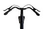 Crown Luxor Elektrische Damesfiets 28 inch 53cm 10 klein