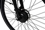 Crown Montreal Elektrische Damesfiets 28 inch 50cm 7v 16 klein