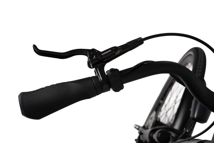 Crown Montreal Elektrische Damesfiets 28 inch 50cm 7v 19