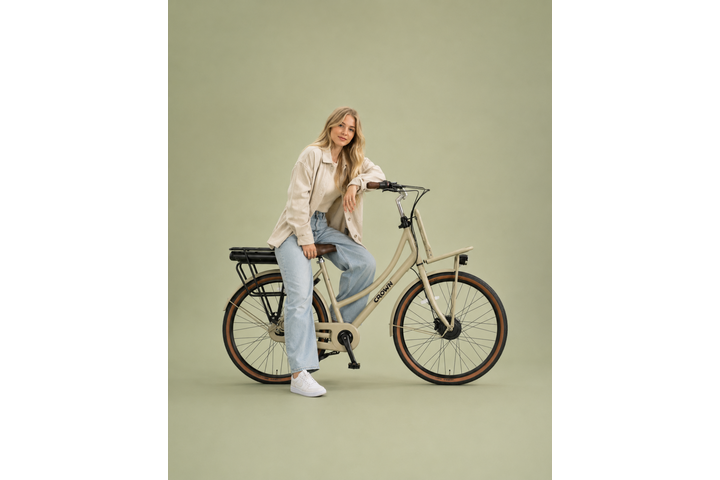 Crown Las Vegas Elektrische Transportfiets 28inch 50cm 7v - afbeelding 9