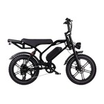 Altec Arion Fatbike 20 inch 7v