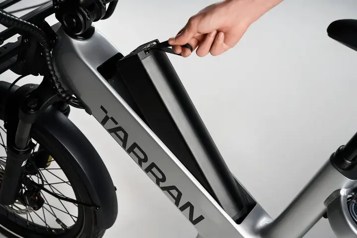 Tarran L1M Elektrische Longtail - afbeelding 4