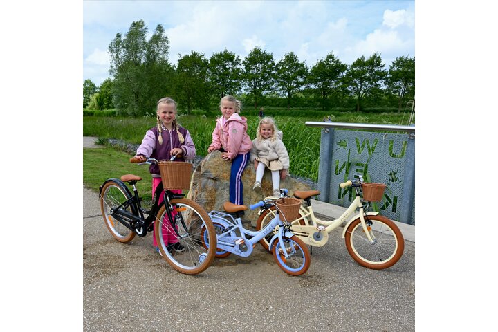 Volare Ashley Kinderfiets 24 inch 3v - afbeelding 9