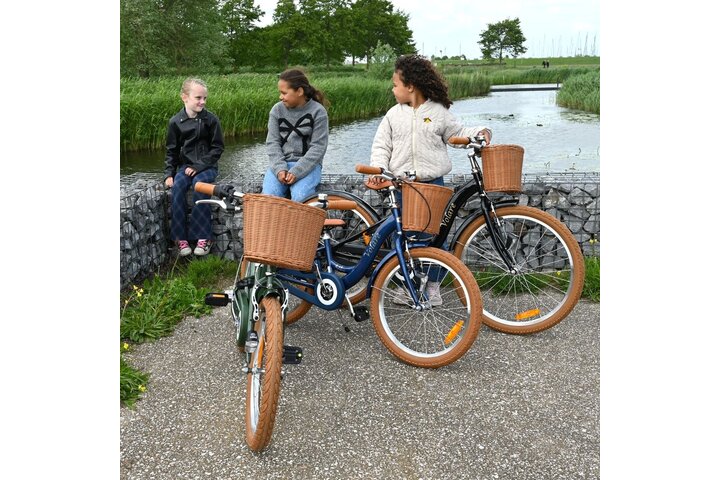 Volare Ashley Kinderfiets 24 inch 3v - afbeelding 12