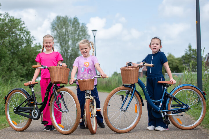 Volare Ashley Kinderfiets 24 inch 3v - afbeelding 2