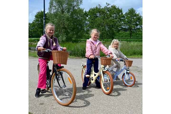 Volare Ashley Kinderfiets 24 inch 3v - afbeelding 14