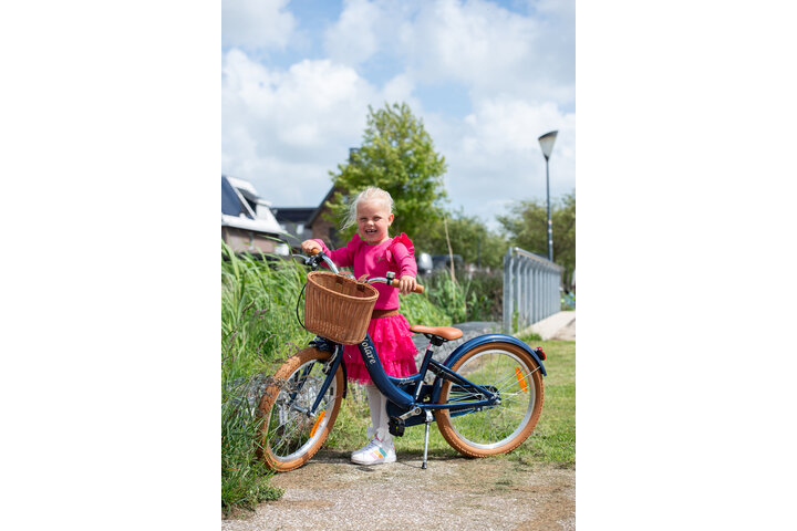 Volare Ashley Kinderfiets 20 inch 3v - afbeelding 7