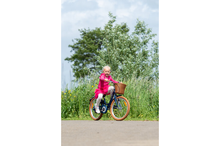 Volare Ashley Kinderfiets 20 inch 3v - afbeelding 4