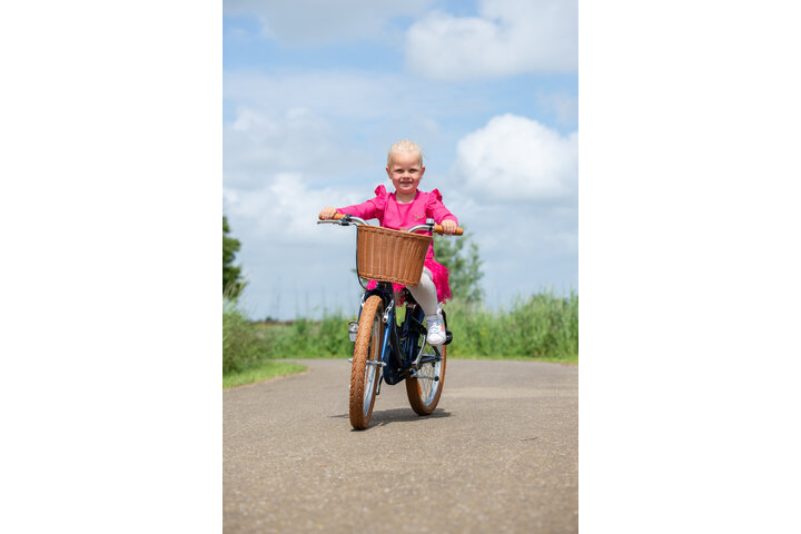 Volare Ashley Kinderfiets 20 inch 3v - afbeelding 10