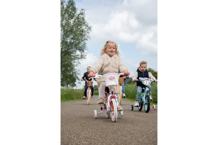 Volare Blossom Kinderfiets 12 inch - afbeelding 4