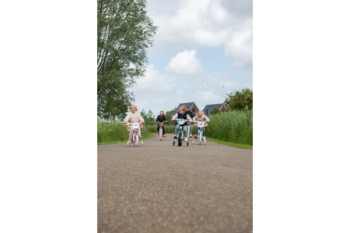 Volare Blossom Kinderfiets 14 inch - afbeelding 5
