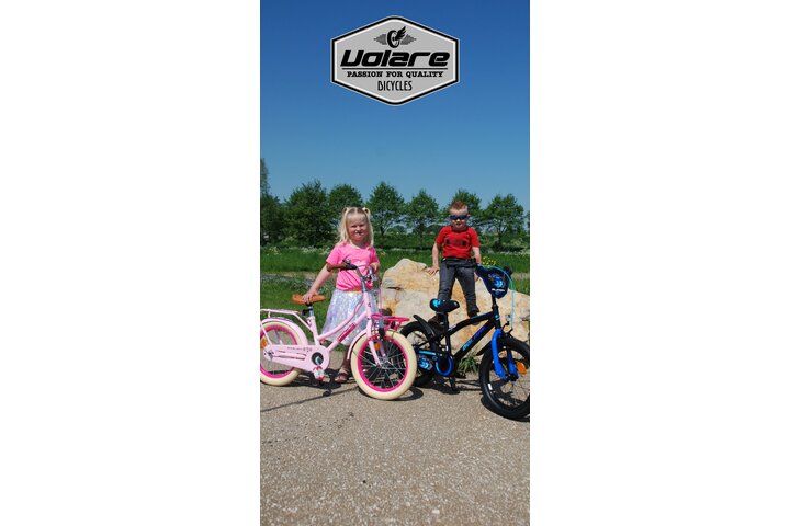 Volare Blossom Kinderfiets 14 inch - afbeelding 18
