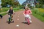Volare Unicorn Kinderfiets 12 inch - miniatuur 11