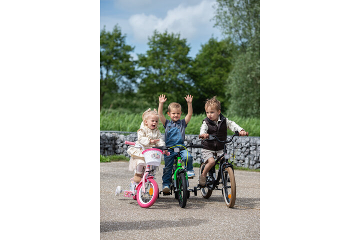 Volare Unicorn Kinderfiets 12 inch - afbeelding 13