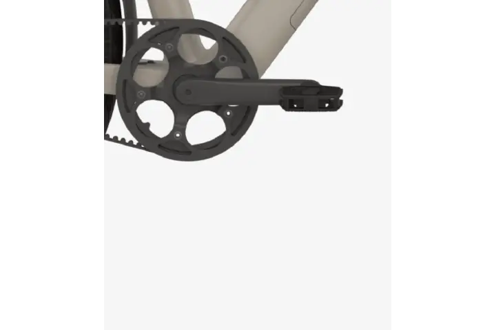Reany W1 Pro Elektrische Damesfiets 28 inch 48cm Belt - afbeelding 7