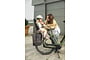 Cortina E-Common Family Plus 28 inch 46cm Enviolo - miniatuur 9