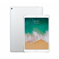 Apple Apple iPad Pro 256GB