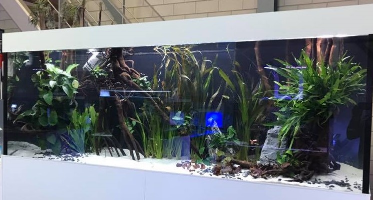 Polair het formulier omringen LED zoetwater aquarium advies - HVP aqua