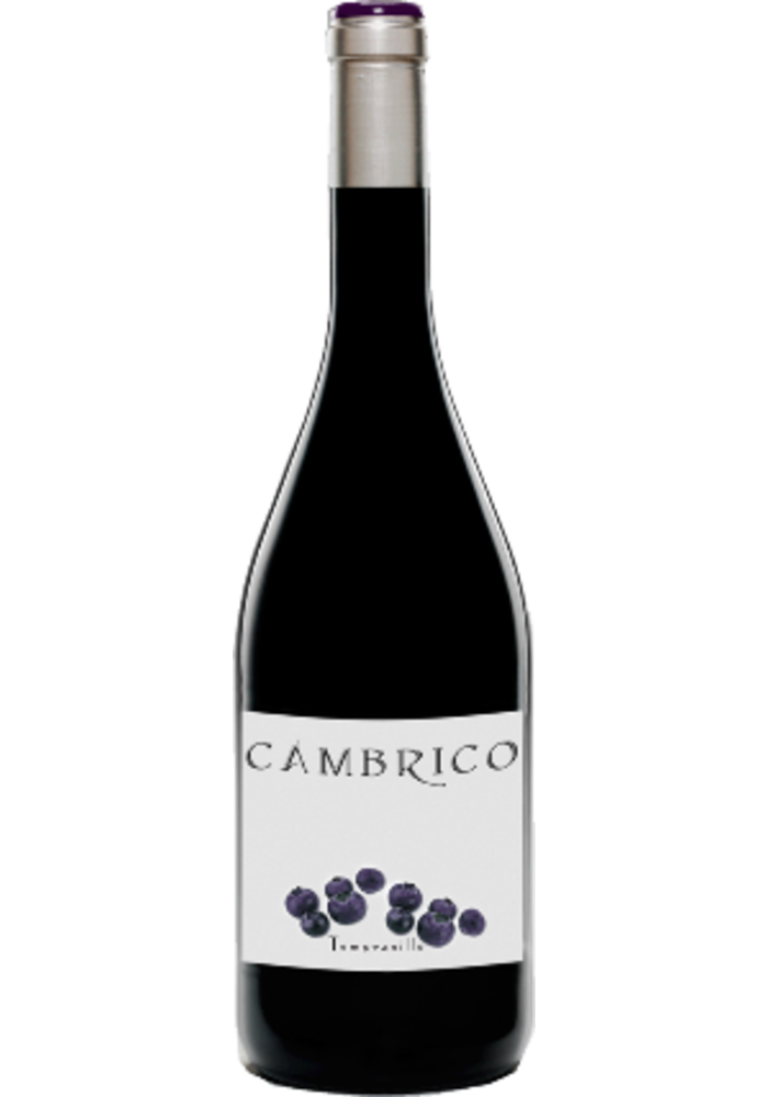 Cambrico Tempranillo 2012